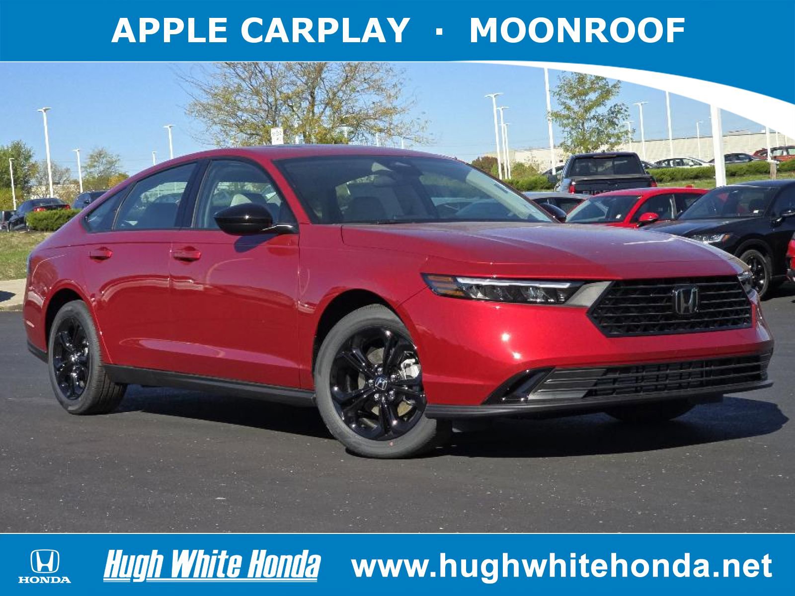 2025 Honda Accord 1.5T SE CVT's photo