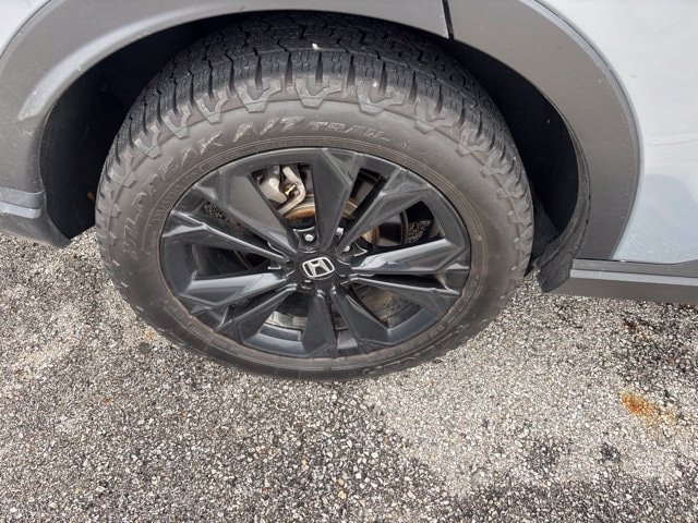 Photo 18