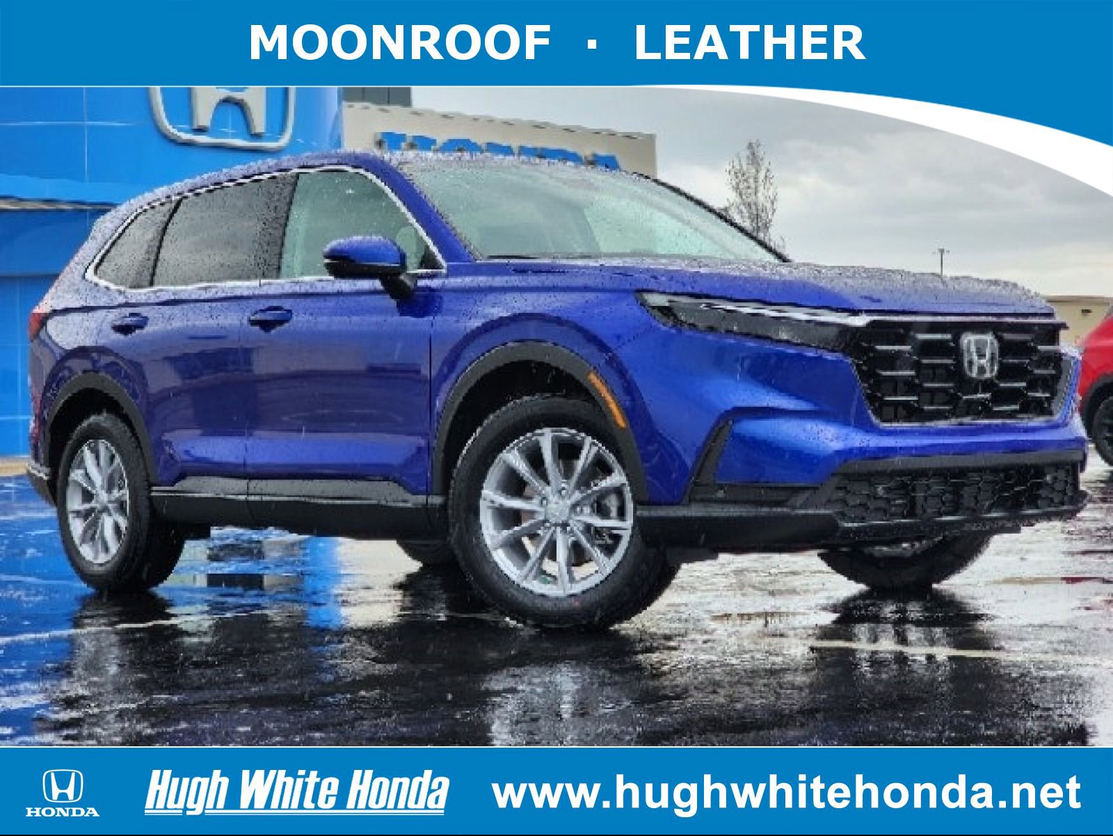 2025 Honda CR-V EX-L AWD's photo