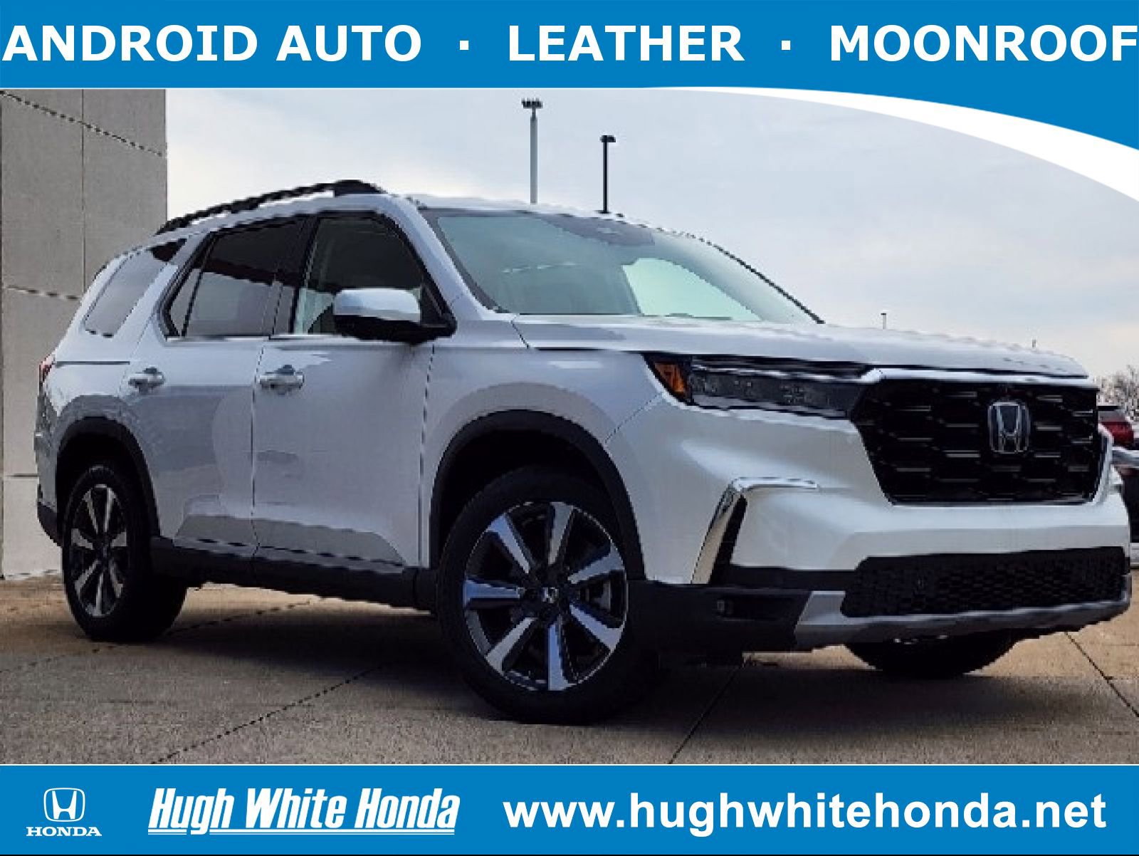 2023 Honda Pilot Elite AWD's photo