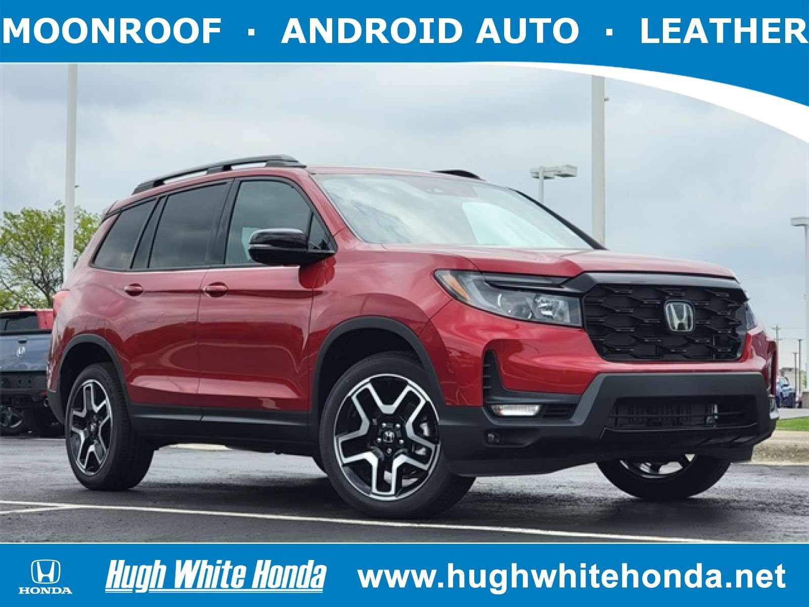 2023 Honda Passport 3.5 Elite 4WD Auto's photo