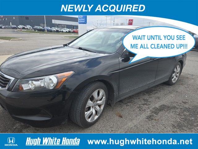 2010 Honda Accord EX-L's photo
