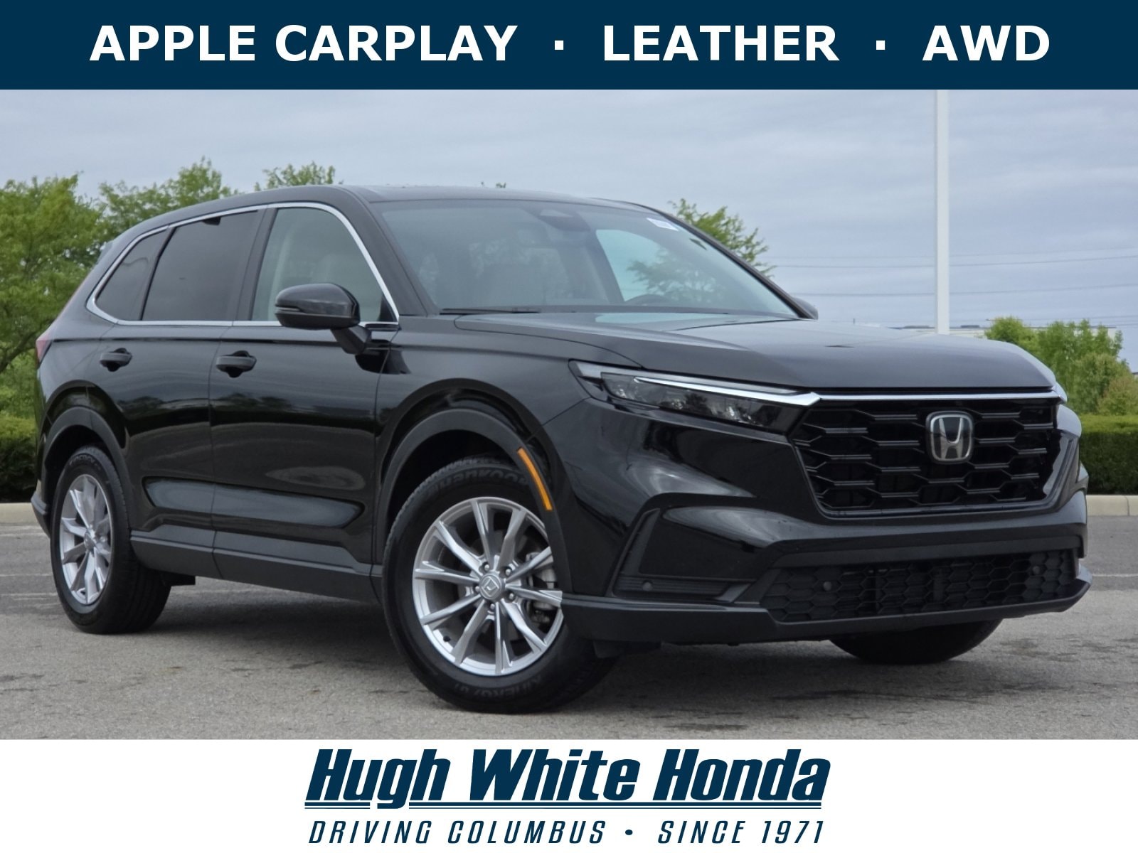 2023 Honda CR-V EX-L w/o BSI 2WD's photo