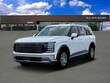  Hyundai Palisade Hybrid