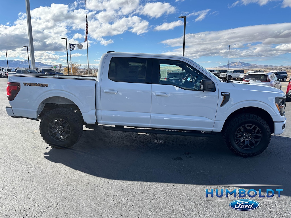 New 2025 Ford F-150 Tremor TRUCK