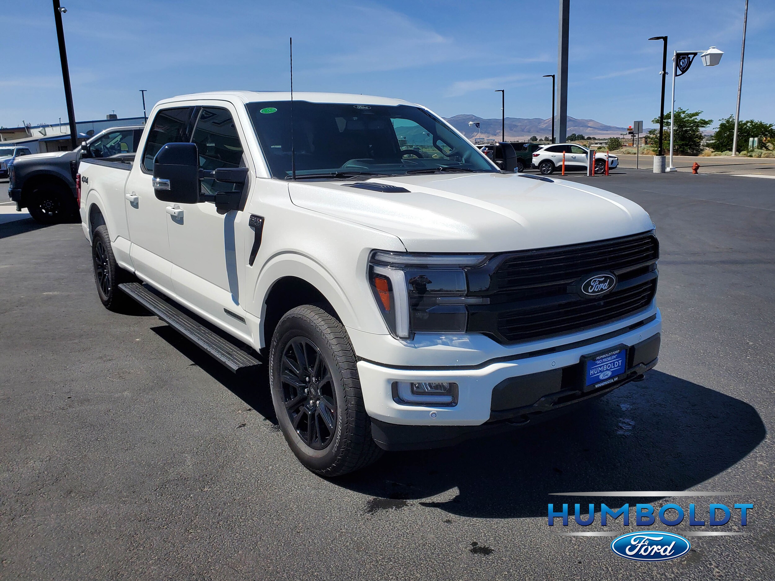2025 Ford F-150 Platinum photo 2