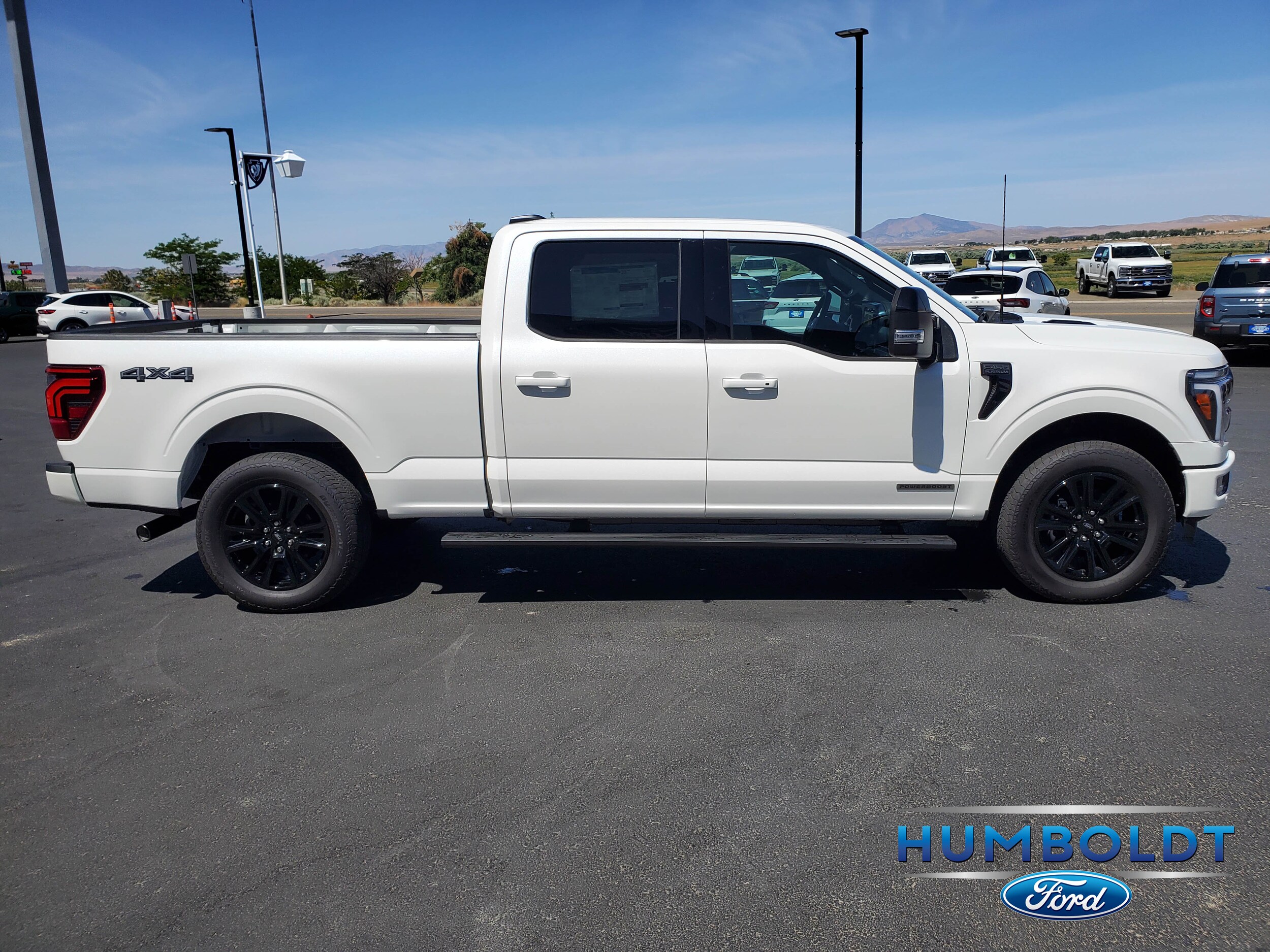 2025 Ford F-150 Platinum photo 3