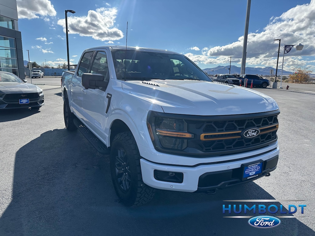 New 2025 Ford F-150 Tremor TRUCK