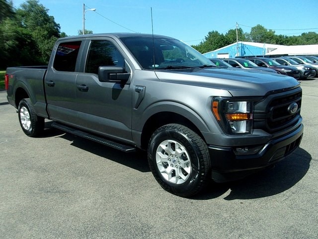 2023 Ford F-150 XL's photo