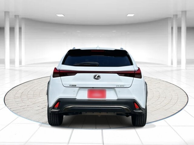 2019 Lexus UX 200 F SPORT photo 3