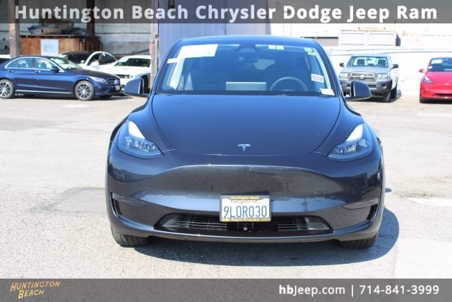 Used 2024 Tesla Model Y Long Range with VIN 7SAYGDED5RF045129 for sale in Northfield, Minnesota