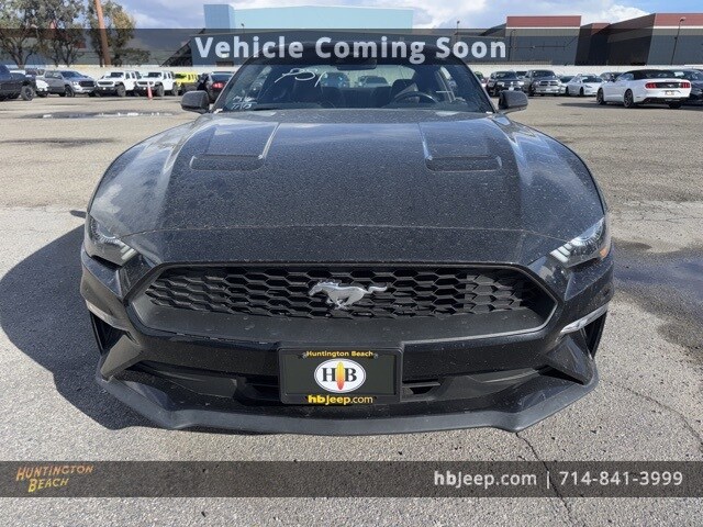 2023 Ford Mustang EcoBoost Premium photo 2