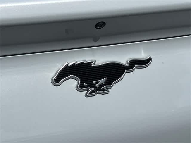 Thumbnail: 2023 Ford Mustang Mach-E - 29
