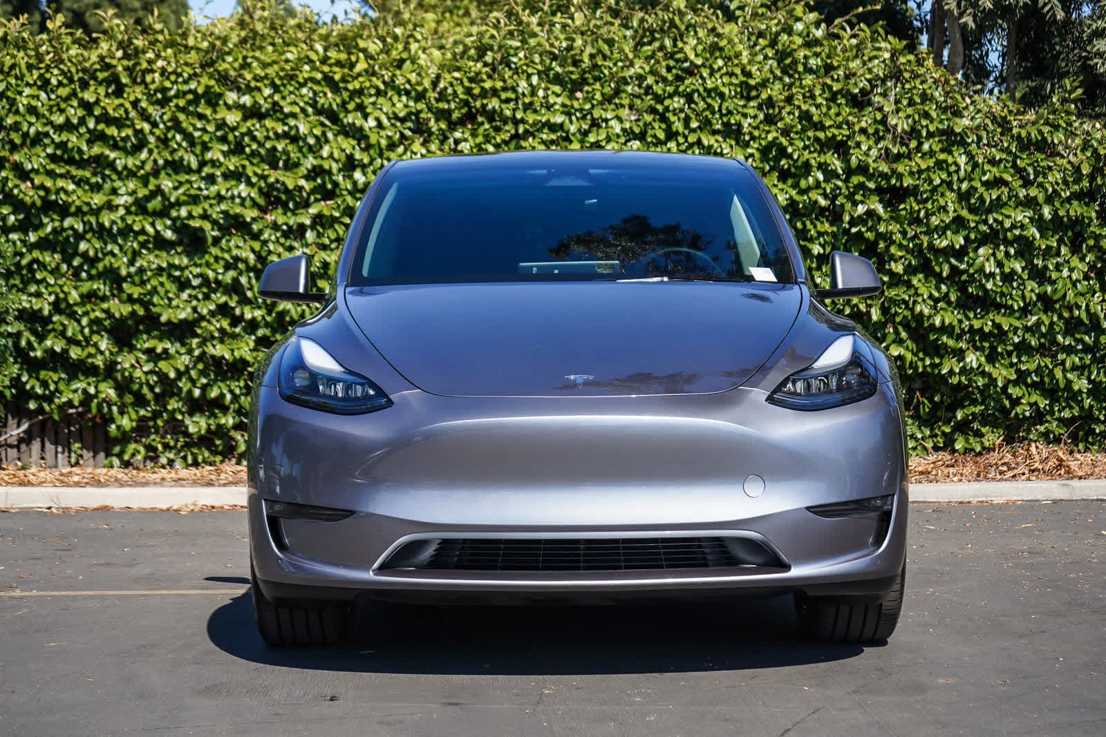 Thumbnail: 2025 Tesla Model Y - 2
