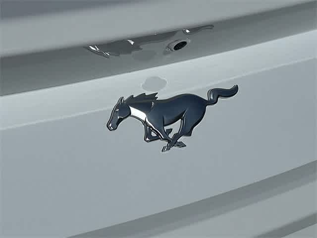 Thumbnail: 2024 Ford Mustang - 29
