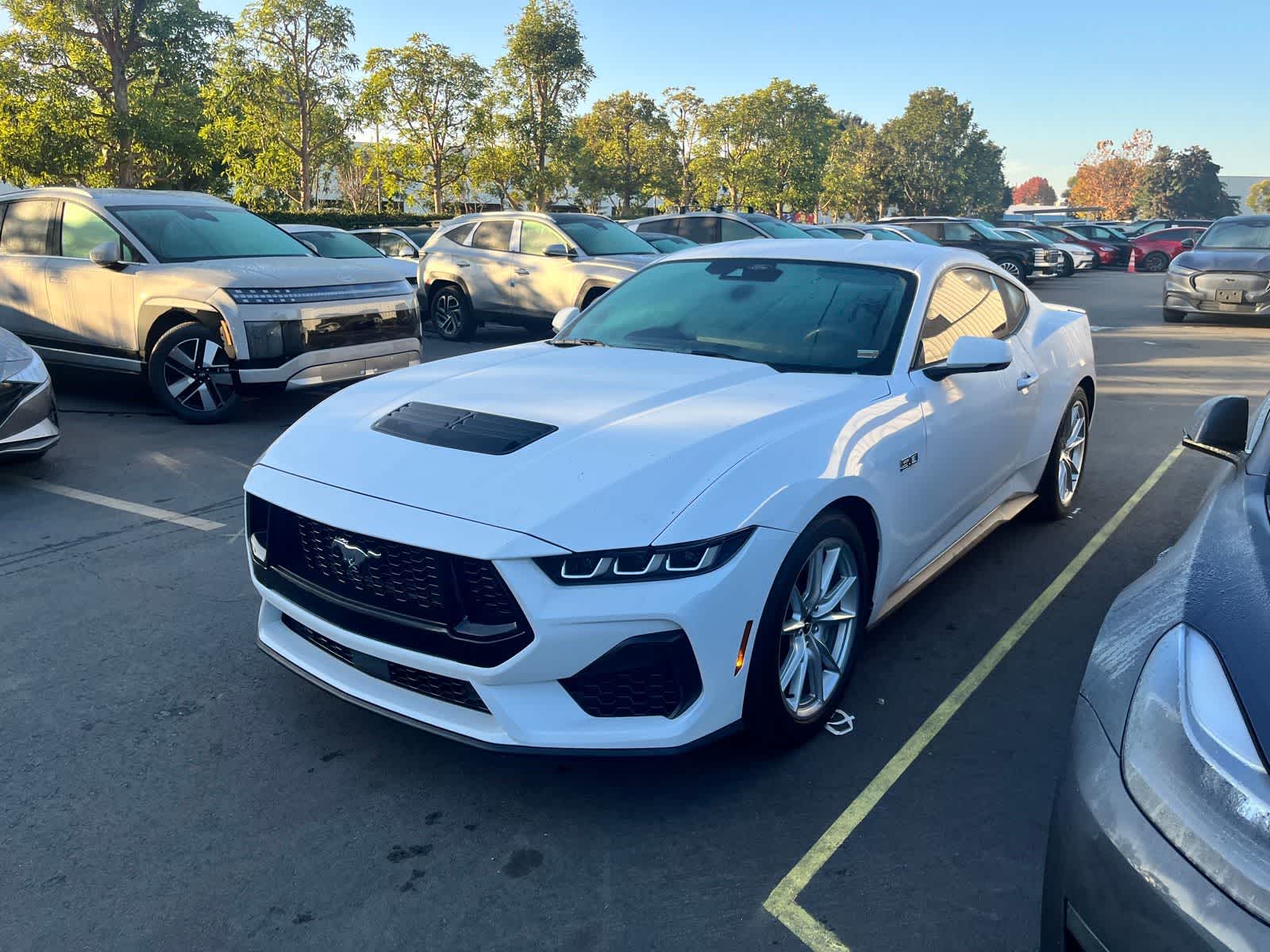 2024 Ford Mustang GT Premium's photo