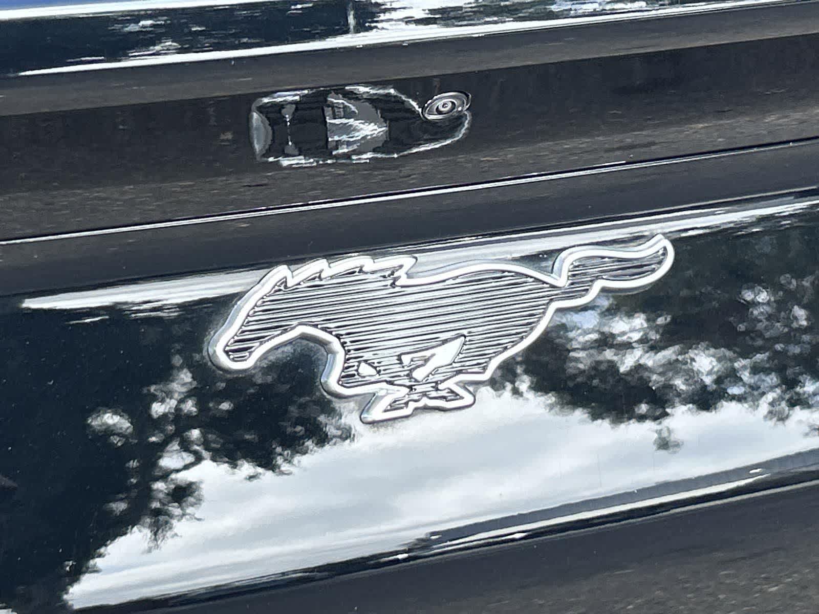 Thumbnail: 2021 Ford Mustang Mach-E - 31