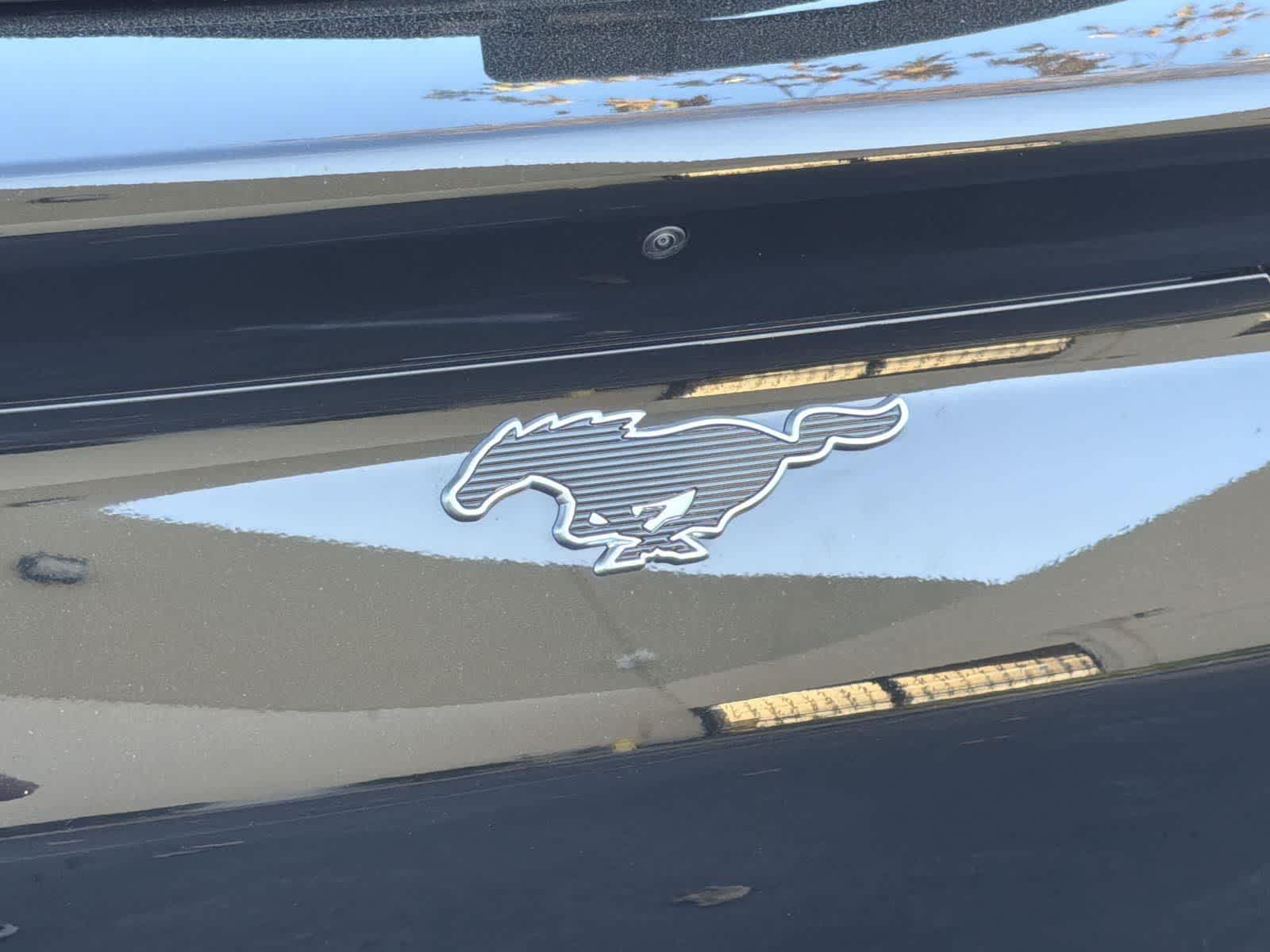 Thumbnail: 2022 Ford Mustang Mach-E - 29