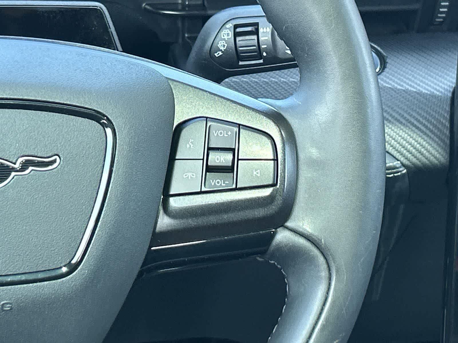 Thumbnail: 2021 Ford Mustang Mach-E - 14