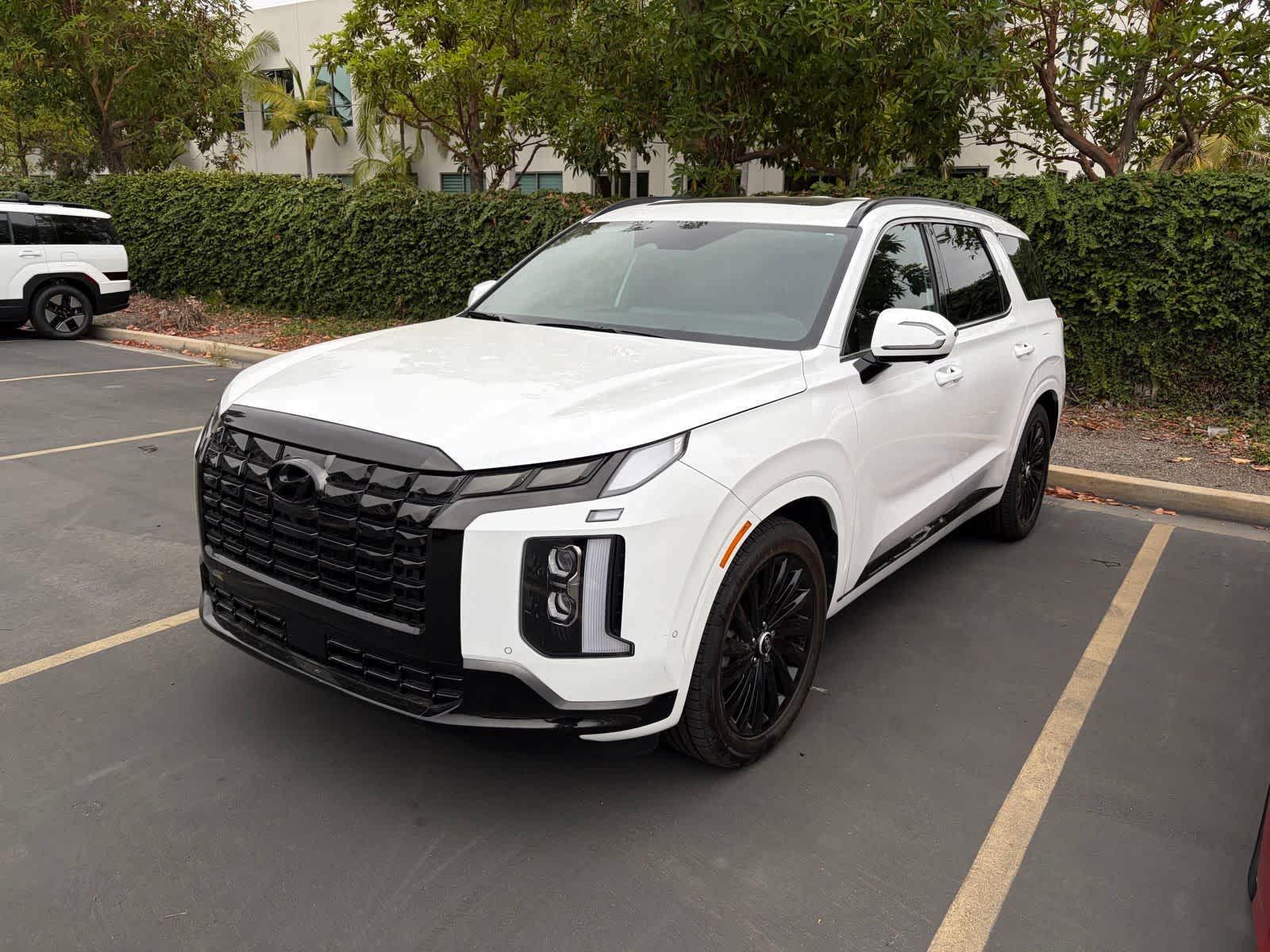 2024 Hyundai Palisade Calligraphy Night Edition AWD's photo