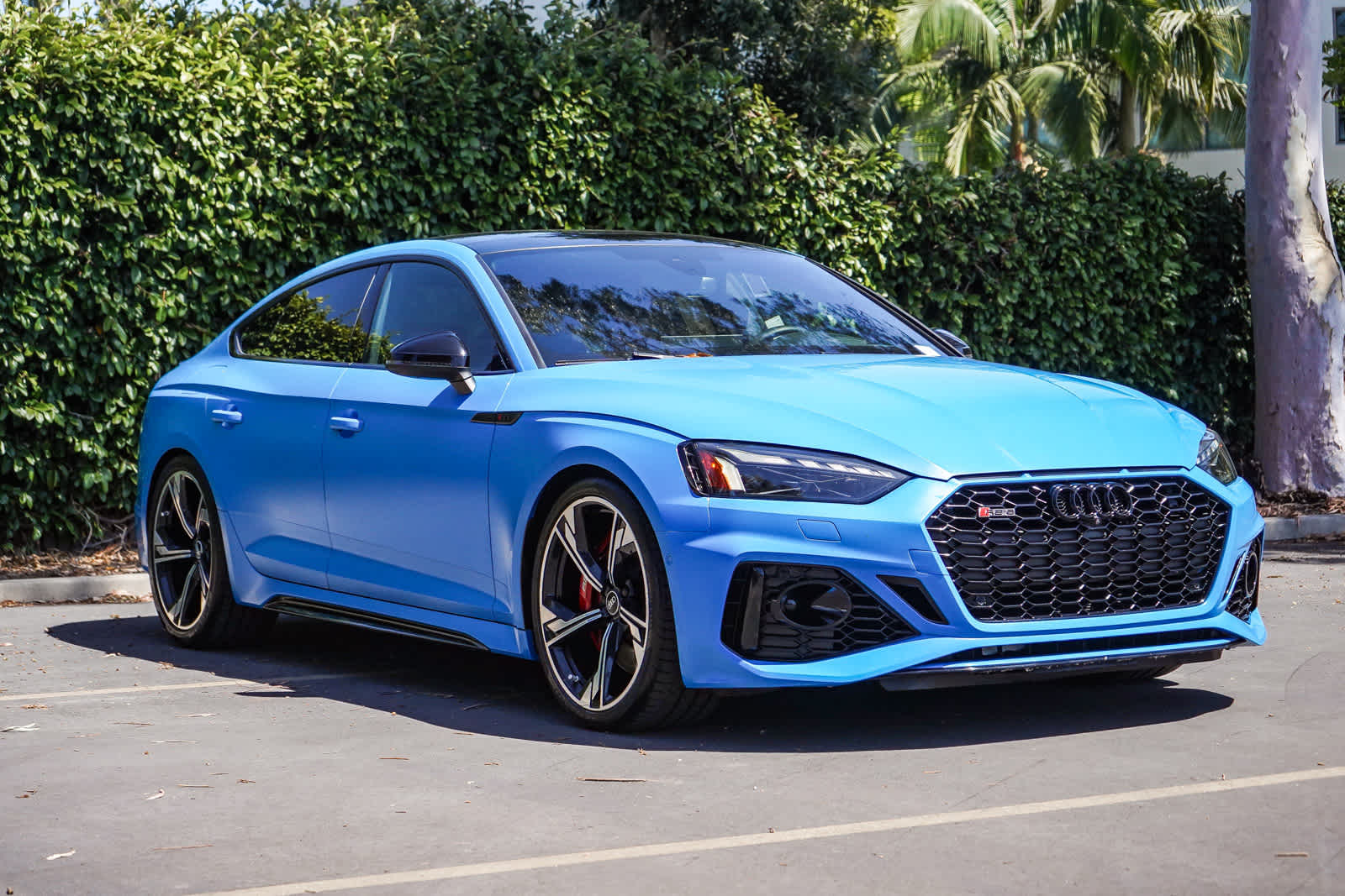 Thumbnail: 2021 Audi RS 5 - 3