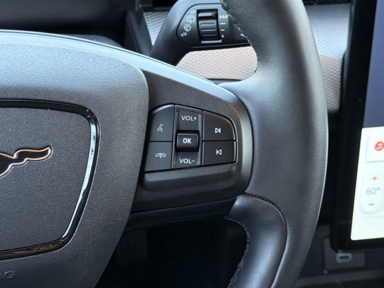 Thumbnail: 2022 Ford Mustang Mach-E - 13