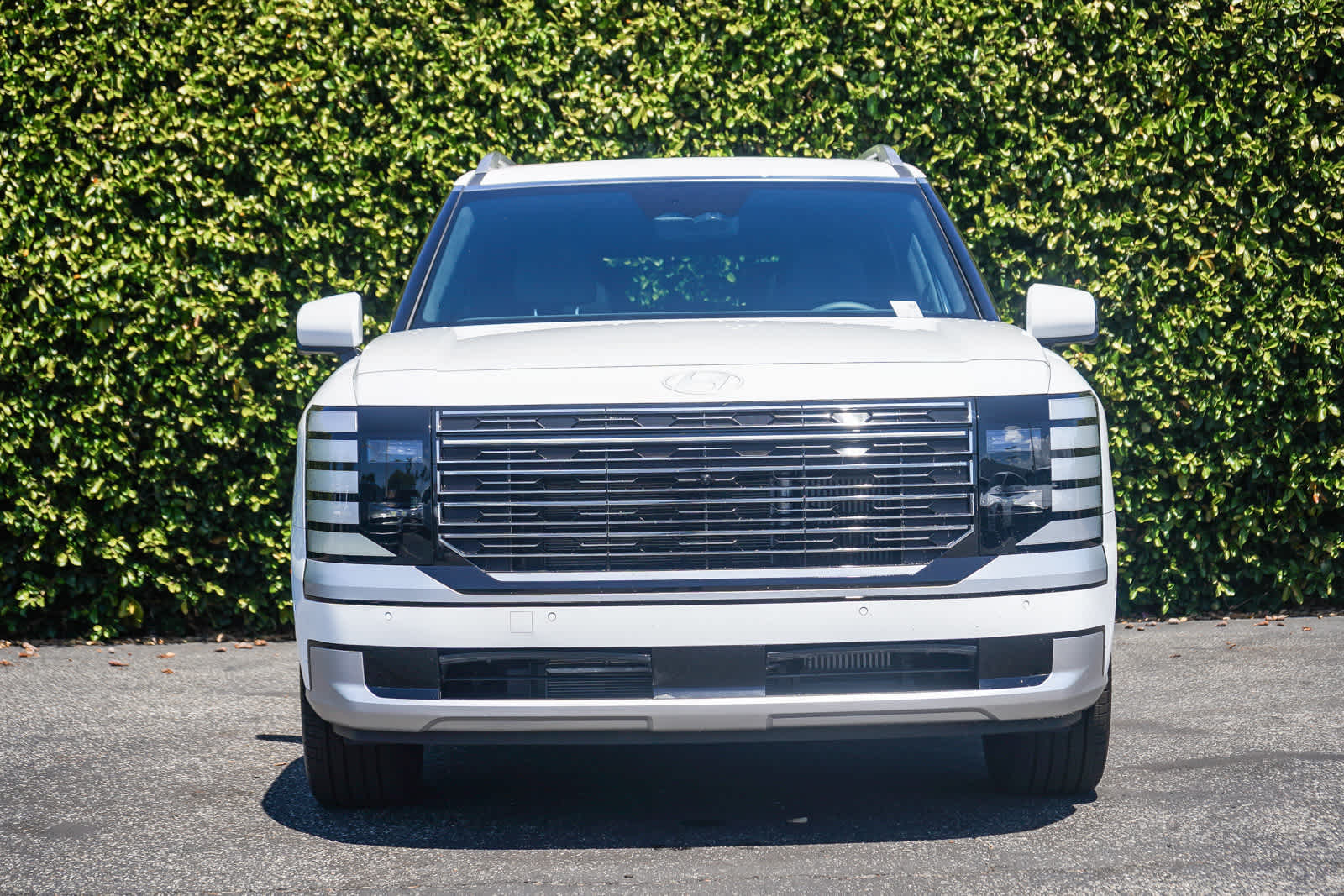 Thumbnail: 2026 Hyundai Palisade - 2