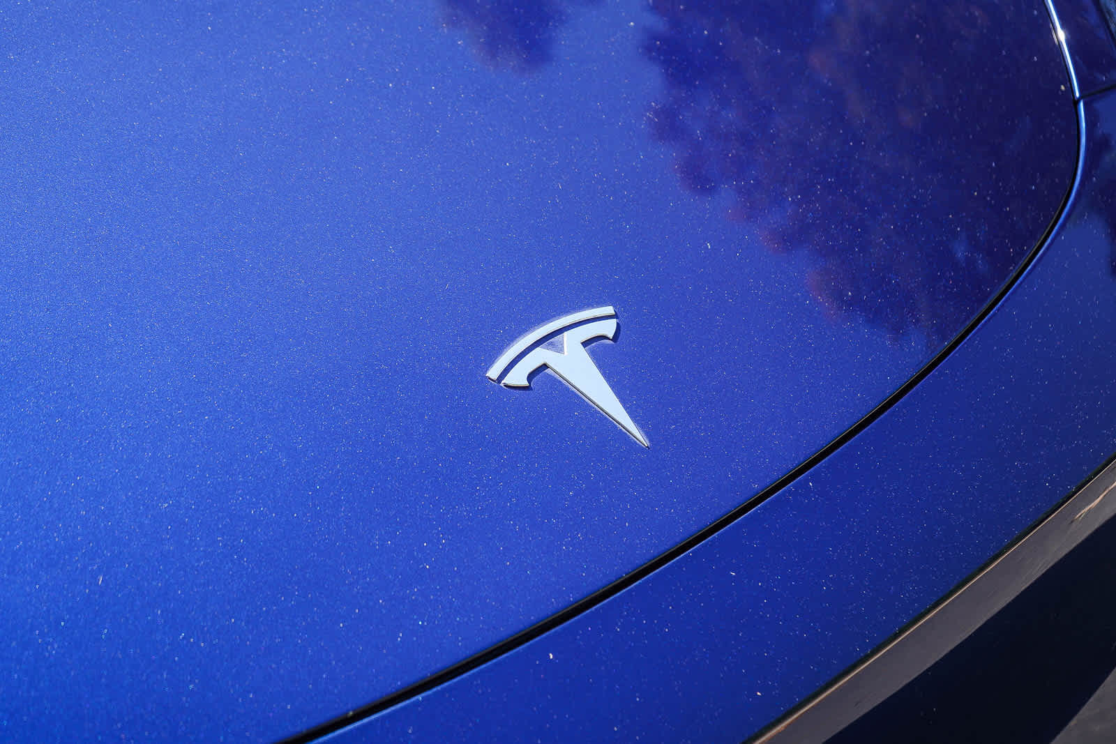 Thumbnail: 2021 Tesla Model Y - 11