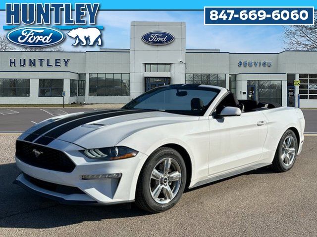 2019 Ford Mustang EcoBoost's photo