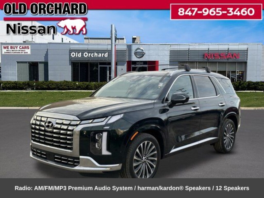 Used 2025 Hyundai Palisade Calligraphy SUV