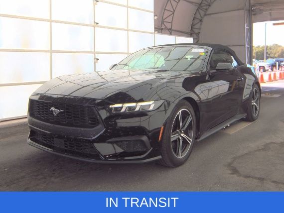 2024 Ford Mustang EcoBoost Premium Convertible's photo