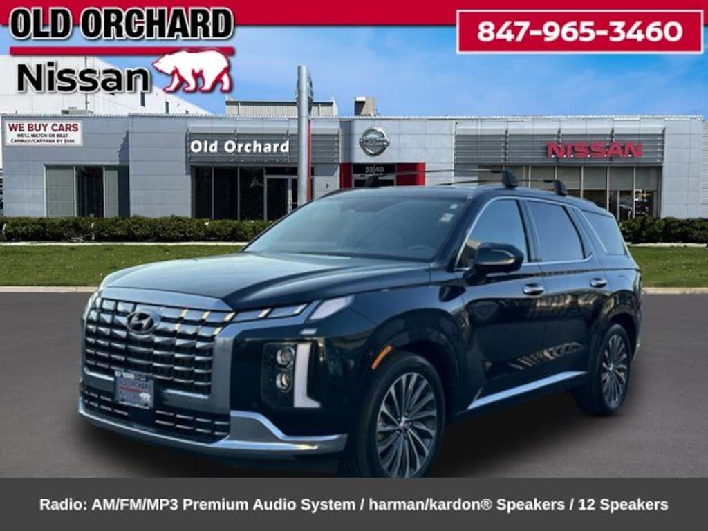 Used 2025 Hyundai Palisade Calligraphy SUV