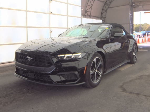 2024 Ford Mustang EcoBoost Premium Convertible's photo