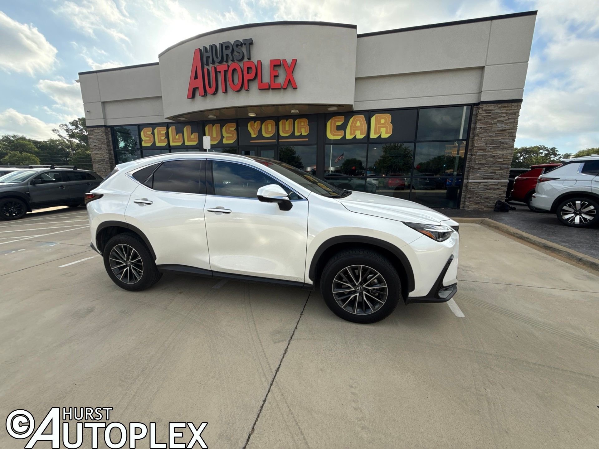 2025 Lexus NX 350 350 Luxury AWD's photo