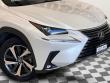 2021 LEXUS NX 300 NX 300 SUV