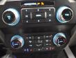 2019 Ford F-150 Platinum Platinum Truck SuperCrew Cab