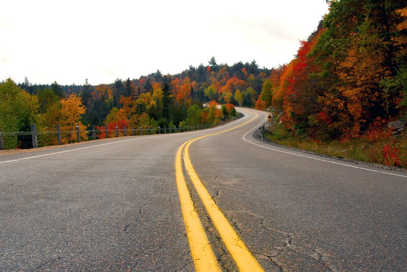 fall driving