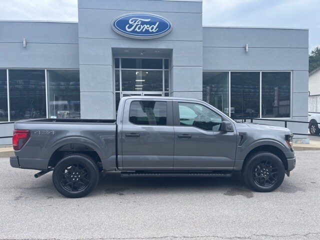 2025 Ford F-150 STX photo 2