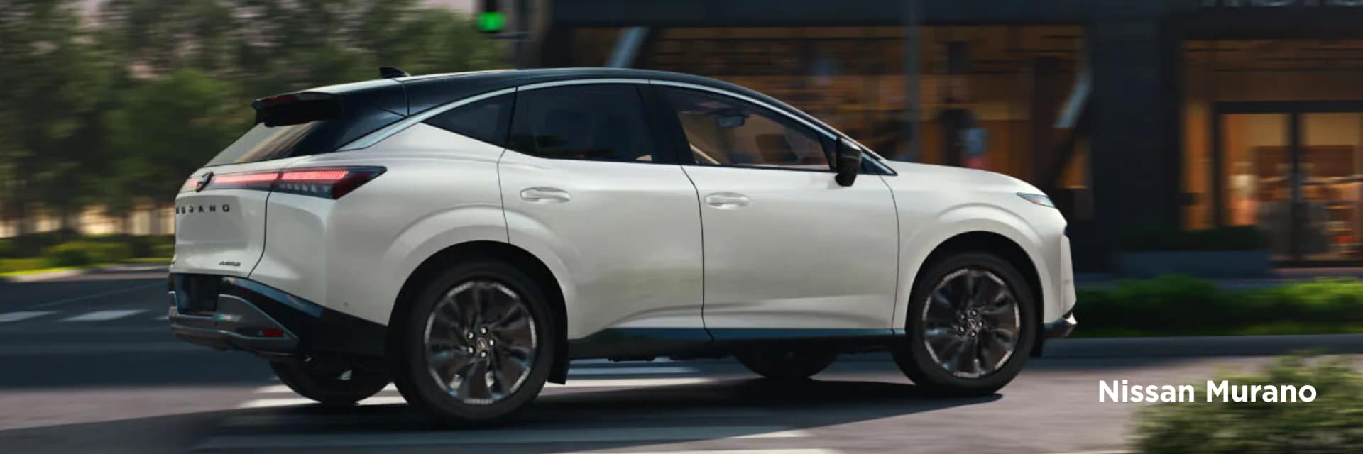Nissan%20SUV%20Size%20Guide%20(3).png