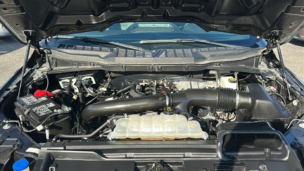 Used 2025 Ford F-150 XLT Truck