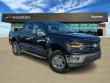 Used 2025 Ford F-150 XLT Truck