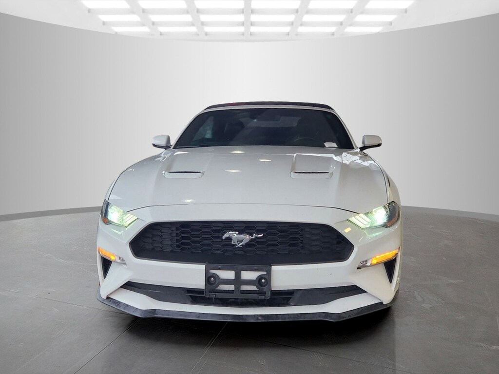 Used 2019 Ford Mustang Convertible