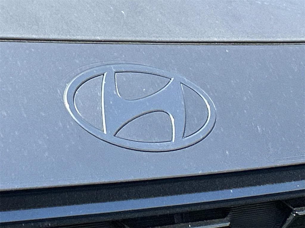 2026 Hyundai Palisade Calligraphy - Photo 9