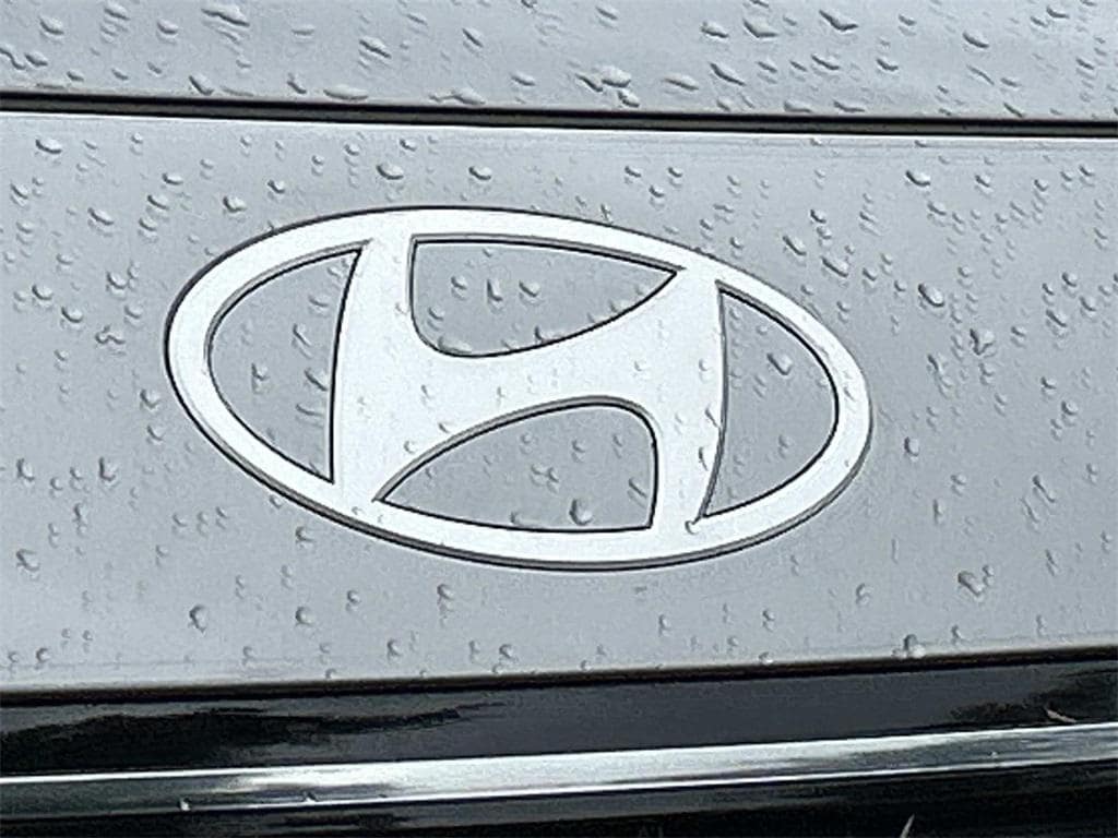 2026 Hyundai Palisade Calligraphy - Photo 10