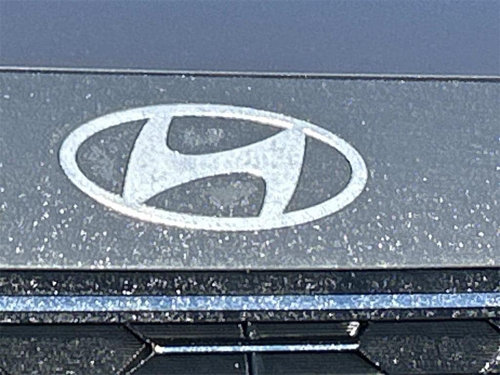 2026 Hyundai Palisade Calligraphy - Photo 10