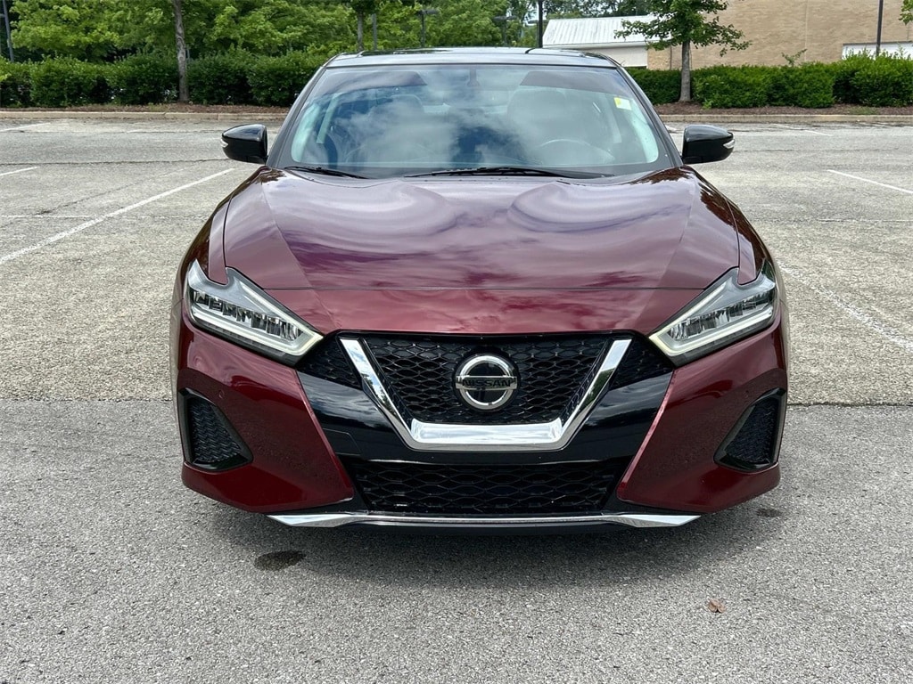 Used 2019 Nissan Maxima SL with VIN 1N4AA6AV9KC370997 for sale in Franklin, TN