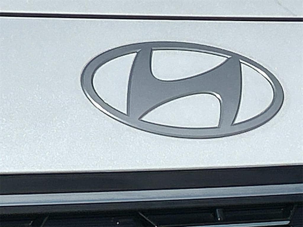 2026 Hyundai Palisade Calligraphy - Photo 10