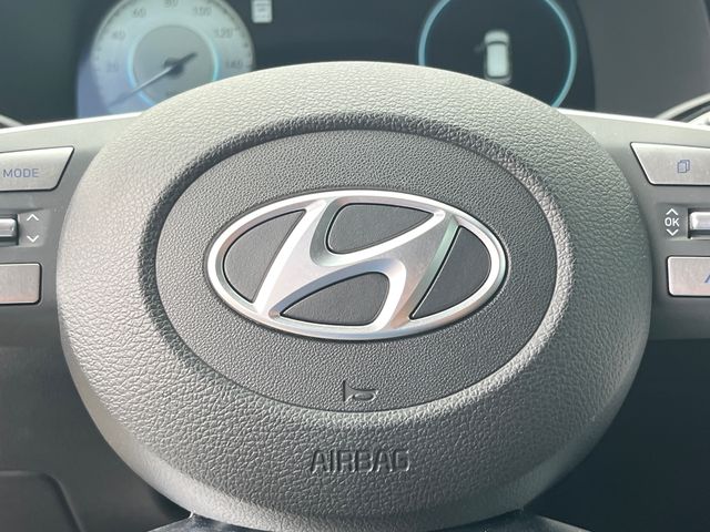 2024 Hyundai Palisade Limited - Photo 17