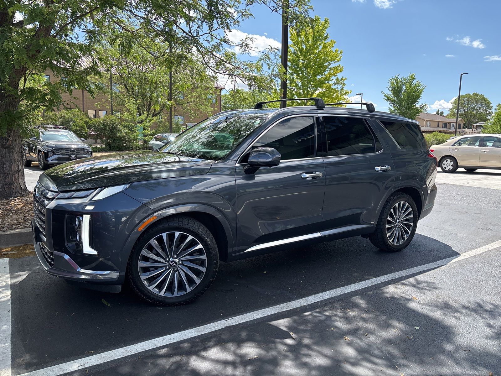 2024 Hyundai Palisade Calligraphy AWD's photo