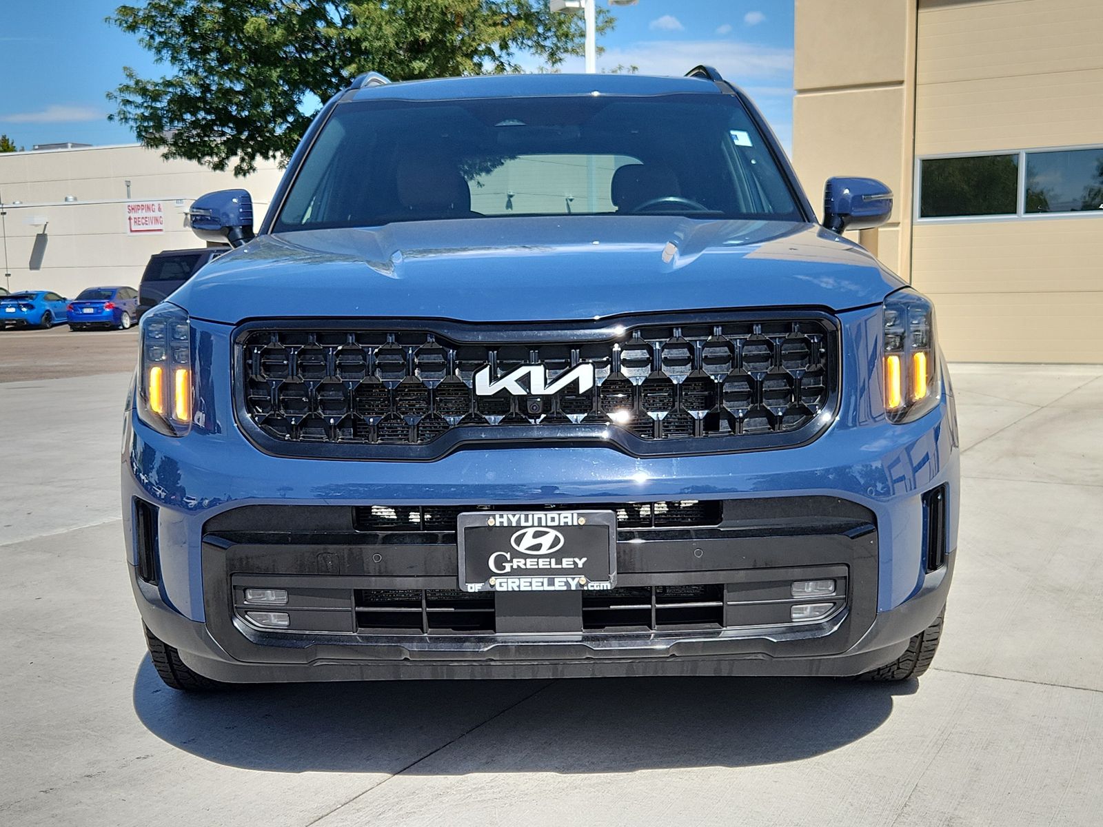 2024 Kia Telluride SX X-Pro - Photo 8